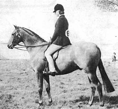 Small-Land Otto