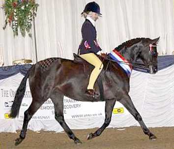 Westhill Vanity Fair